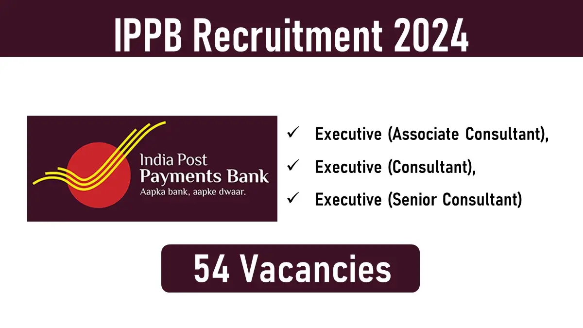 IPPB IT Department Recruitment 2024