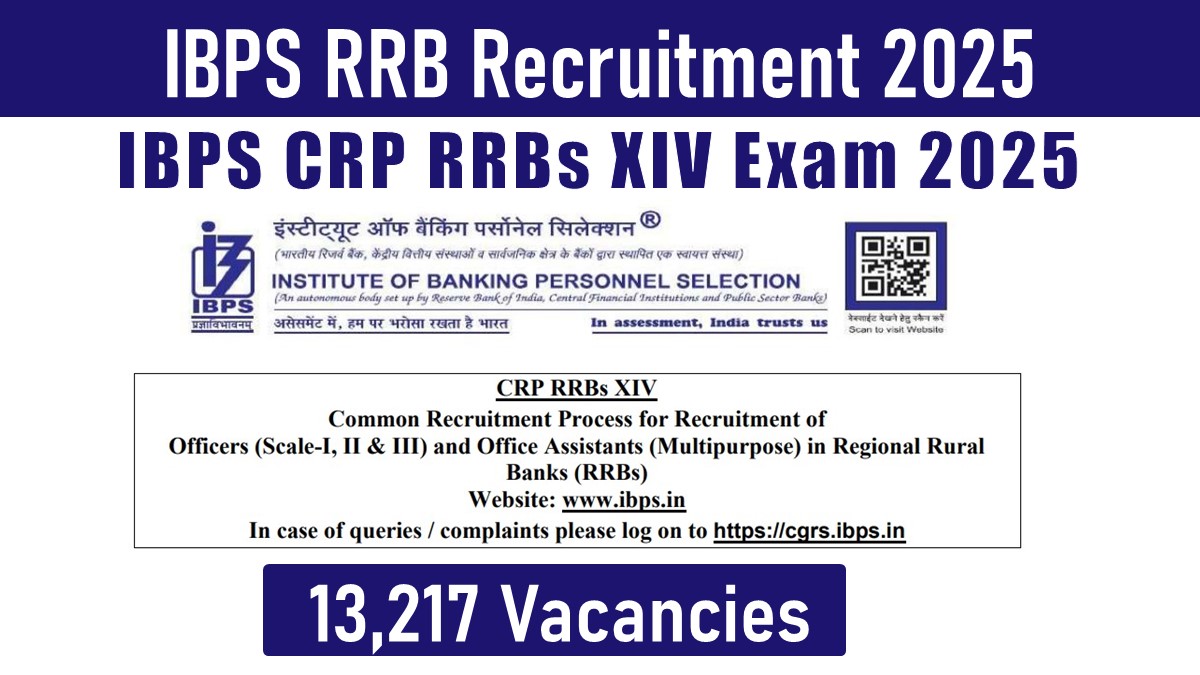 IBPS CRP RRB-XIV offers